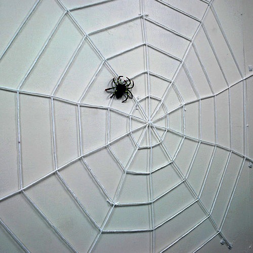 굵은거미줄 폭 150cm 화이트색상 거미1마리포함파티용품