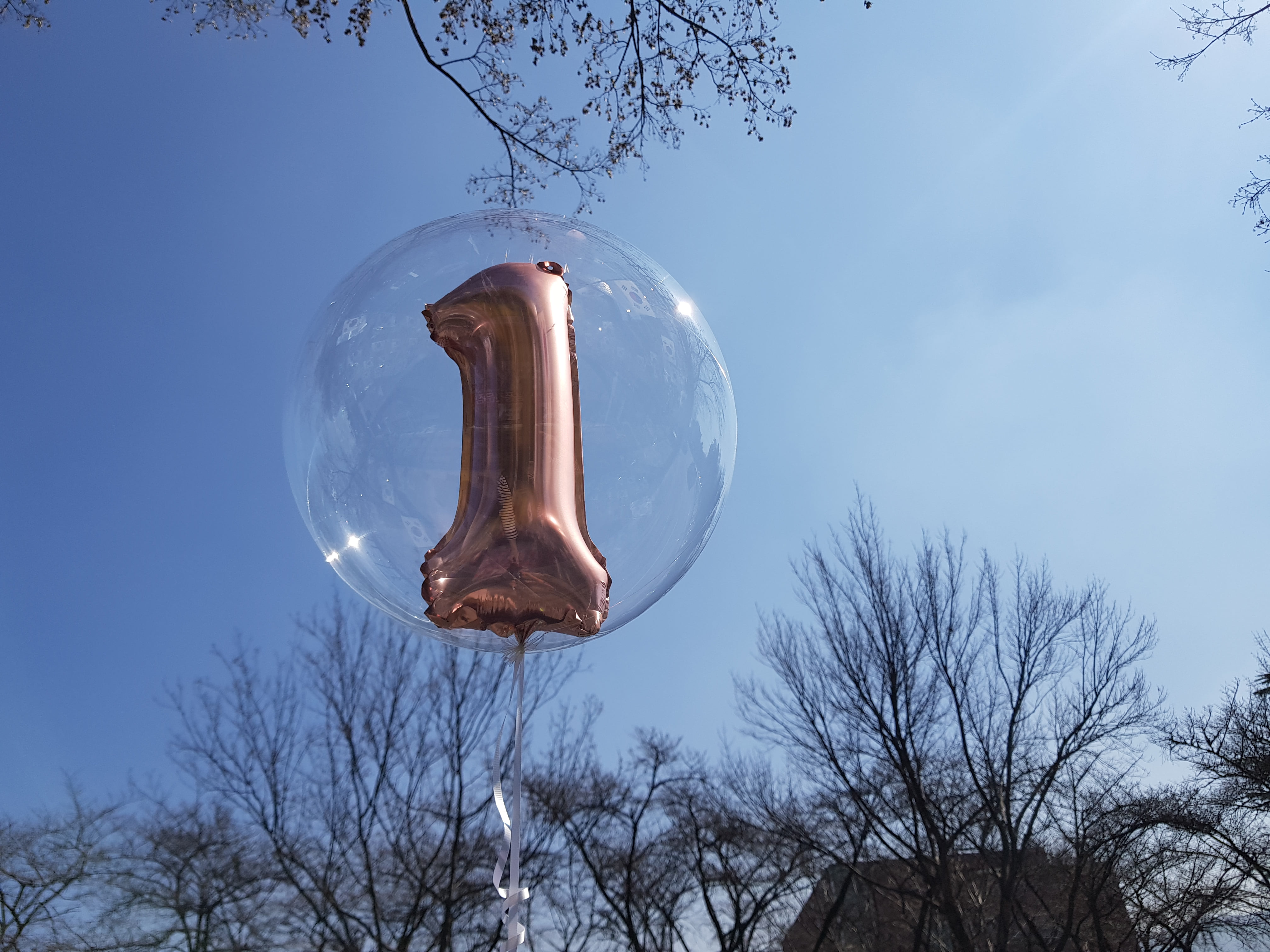 헬륨풍선 버블벌룬 인 알파벳풍선대구헬륨풍선, 100일 기념일 컨셉풍선파티용품