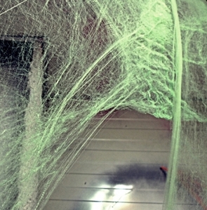 거미줄 그린색 거미줄과거미2마리set파티용품
