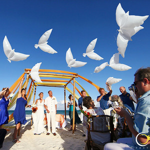 비둘기풍선 대량주문할인 행사용 헬륨풍선 평화상징파티용품